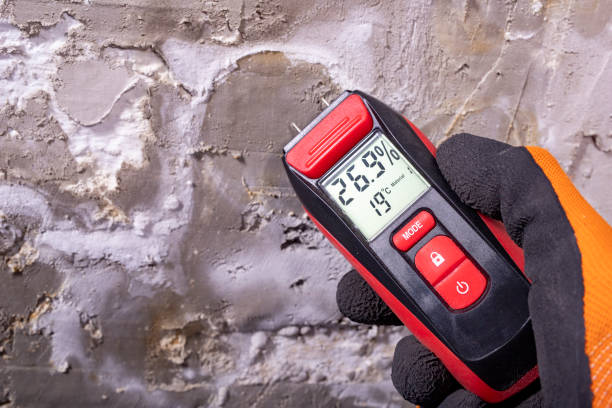 Professional Mold Remediation in Milford, IN