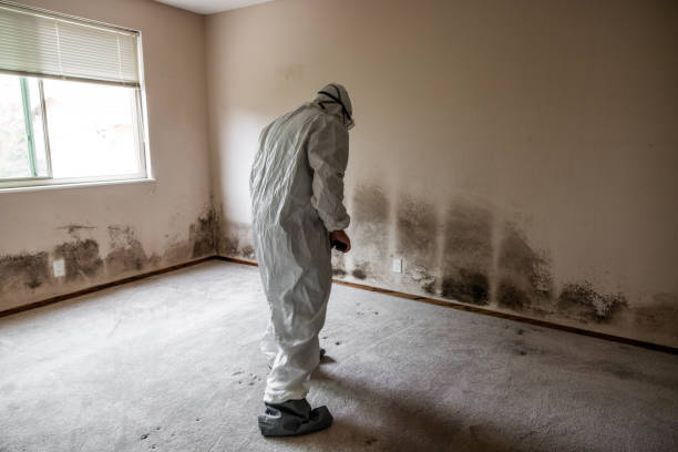 Best HVAC Mold Remediation in Milford, IN